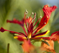 République Dominicaine : une nature authentique et préservée