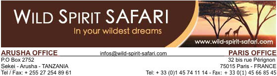 WILD SPIRIT SAFARI