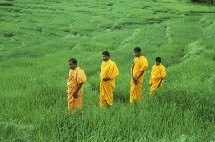 Les paysages du centre du Sri Lanka n'ont rien perdu de leur beauté