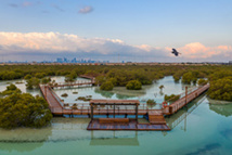 Jubail Island Mangrove Park © Abu Dhabi Department of Culture and Tourism