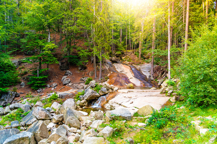 Jizerskohorské bučiny © Pyty - Shutterstock