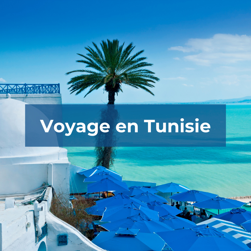 organiser un voyage en tunisie