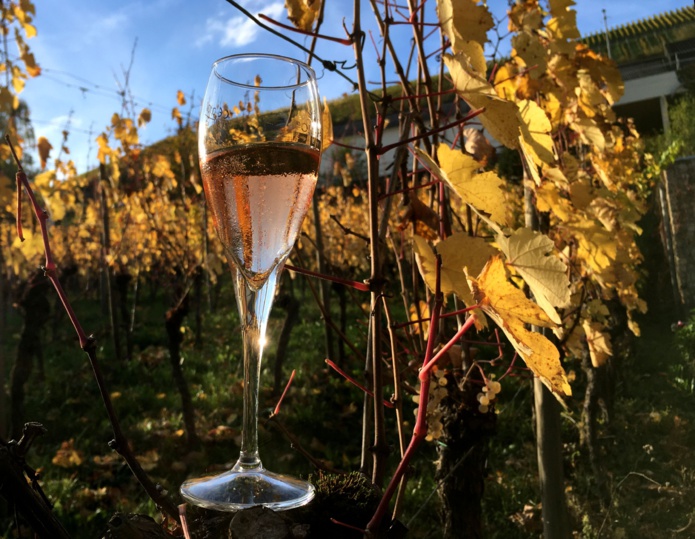 Depuis deux décennies, le Crémant de Luxembourg -blanc et rosé- a le vent en poupe.  ©Paula Boyer