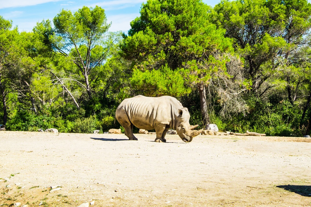 Parc zoologique - Photo : Depositphotos.com