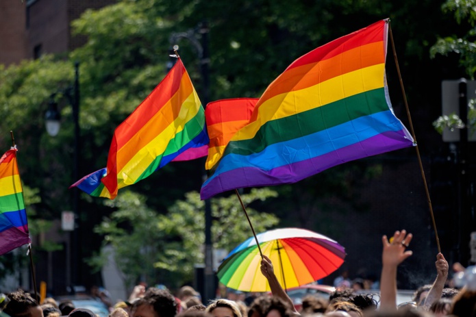 Gay pride : En France, il faudra attendre le 4 avril 1981 pour voir s’envoler le premier cortège de marcheurs et marcheuses gay auquel ont participé 10.000 personnes - Depositphotos.com, Auteur marcbruxelle