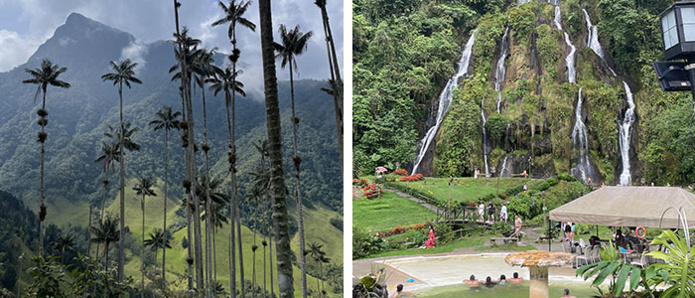 Vallée de Cocora et eaux thermales de Santa Rosa de Cabal © Marianne Jagu