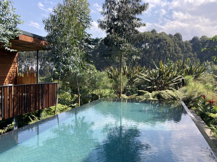 Piscine à débordement dans l’hôtel One & Only Gorilla’s Nest, au nord-ouest du Rwanda - Photo JFR