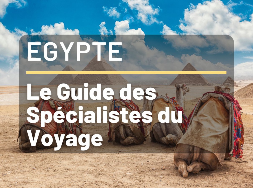 1 million de kilomètres carrés et une histoire hors du commun sont à découvrir lors du voyage en Égypte.