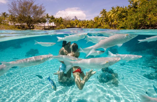 © Marriott St Regis Bora Bora