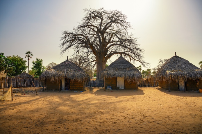 Le Sénégal avec des séjours et circuits immersifs dans la région du Siné-Saloum - Top of Travel