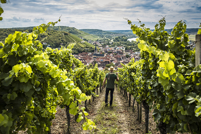 © erlebe.bayern I Bernhard Huber