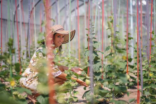 Pour en apprendre plus sur les méthodes et les produits cultivés localement, les clients peuvent visiter l'une des trois îles agricoles du groupe  (© Sun Siyam Resorts)