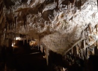 La grotte de Postojna est tout simplement, la plus grande d'Europe ouverte au tourisme - RP