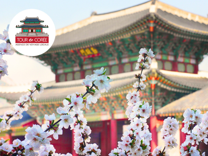 Palais Gyeongbokgung à Séoul © Tour de Corée