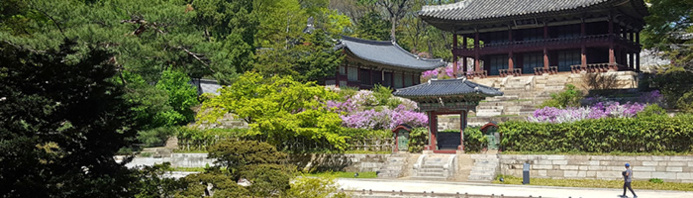 Palais Changdeokgung à Séoul © Tour de Corée