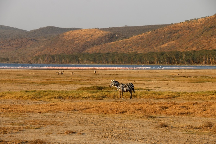 Safaris intimistes au Kenya Photo JFR