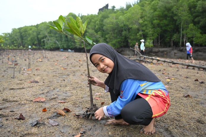 La pépinière d’arbres indigènes du Datai Langkawi entend contribuer au processus de régénération forestière (© Datai Langkawi)