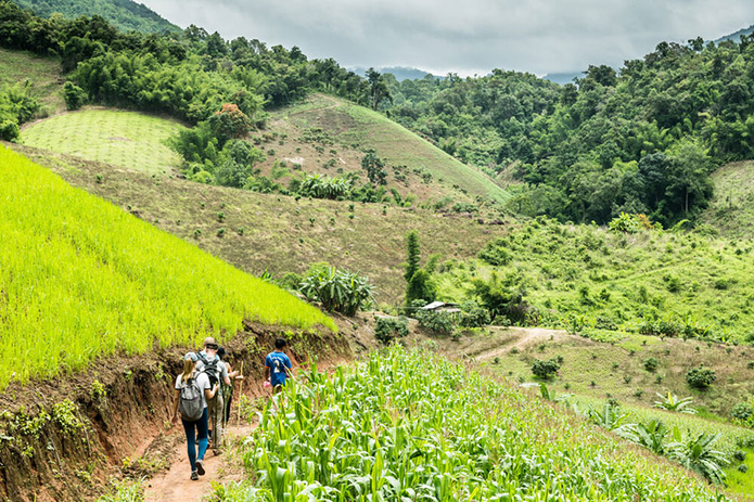 Randonnée dans le nord de la Thaïlande : à la découverte des communautés Akha © Easia Travel