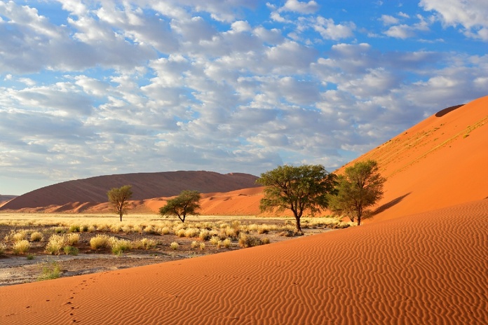 Voyage en Namibie : nouvelles formalités d'entrée le 1er avril, voici ce qui change ! - Depositphotos.com Auteur EcoPic