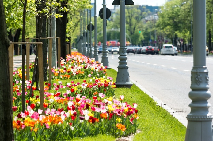 Quelles sont les régions françaises les plus fleuries ? - Photo : Depositphotos.com @radub85