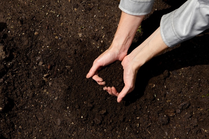 Le Potager Extraordinaire, parc à thème dédié aux plantes potagères - Depositphotos @ marikun21