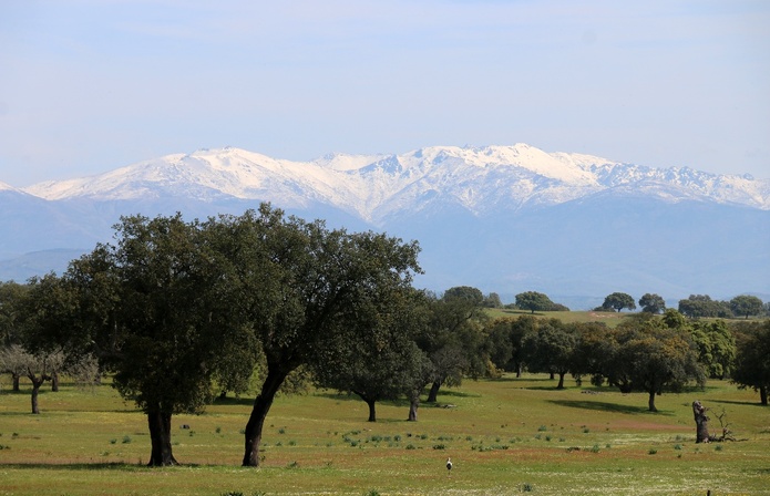 Estrémadure est réputée aride et pauvre, coincée au sud-ouest du pays entre Madrid, l’Andalousie et le Portugal.   Sa réalité est autre. - photo JFR