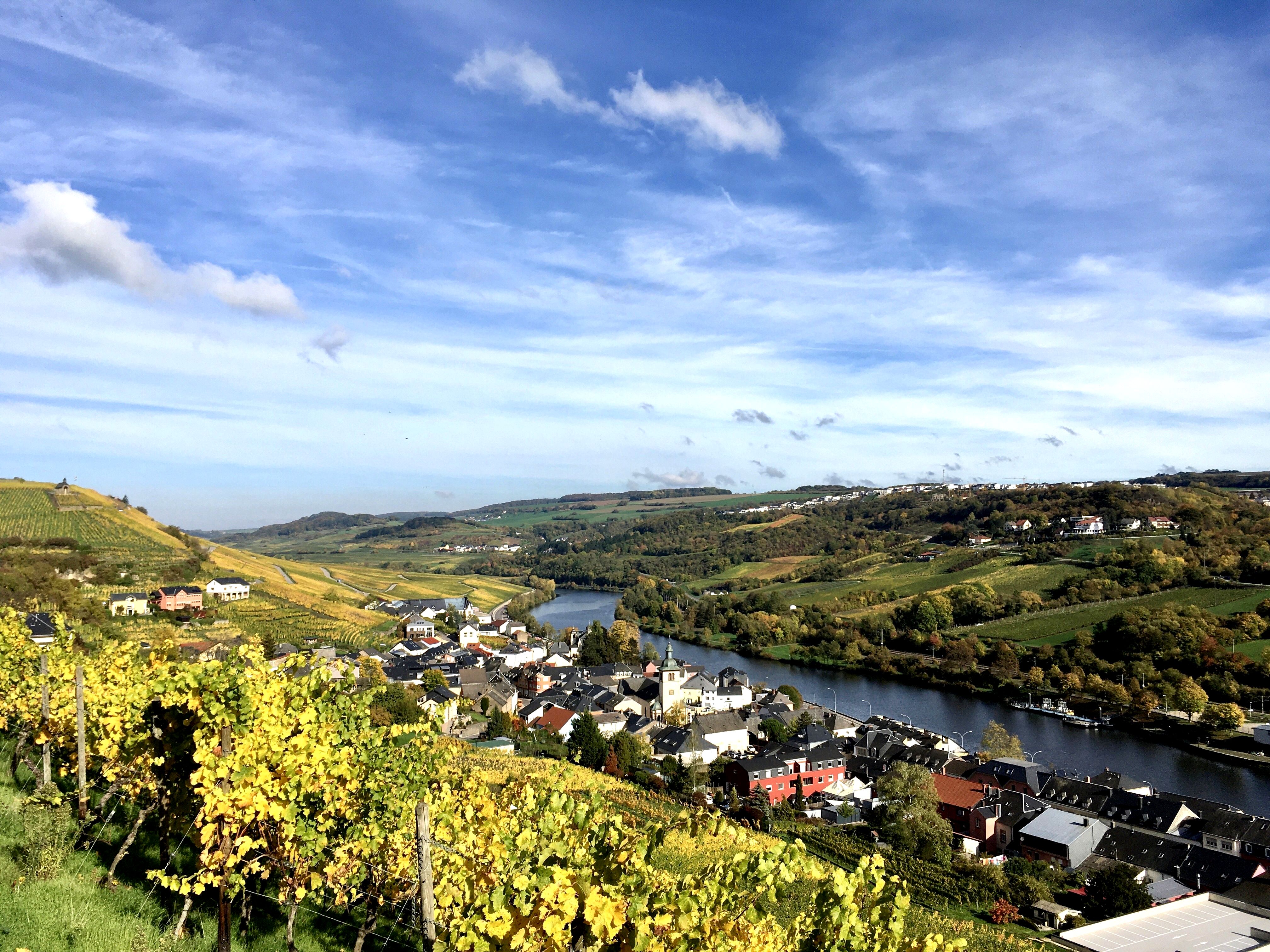 La balade dans les vignes du côté de Wormeldange est particulièrement séduisante. ©Paula Boyer