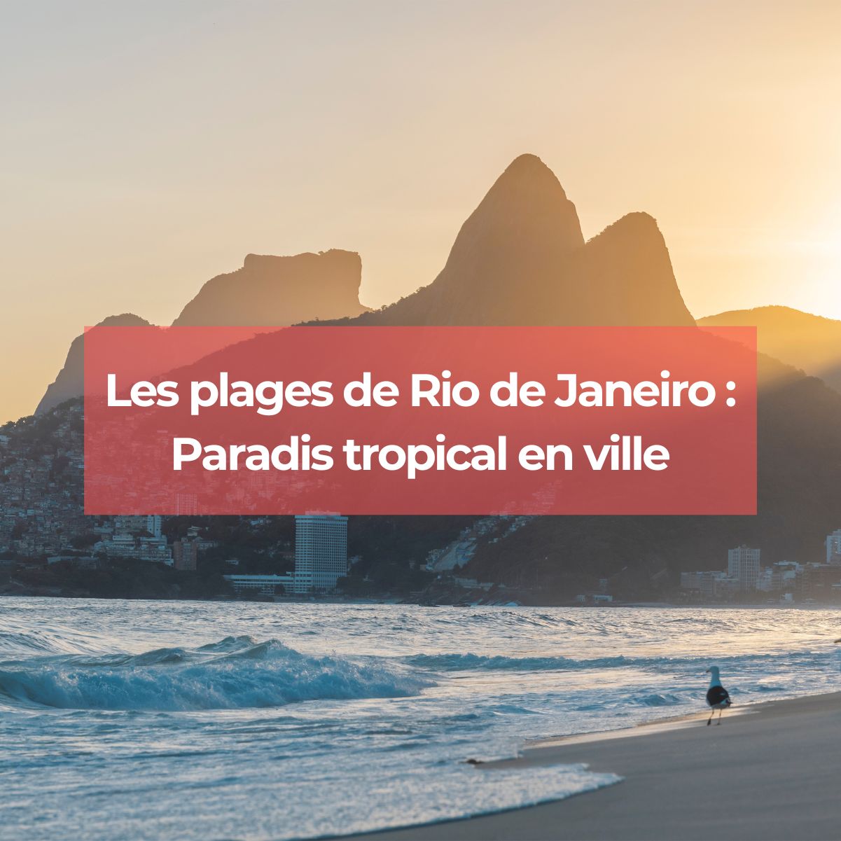 Les plages de Rio de Janeiro