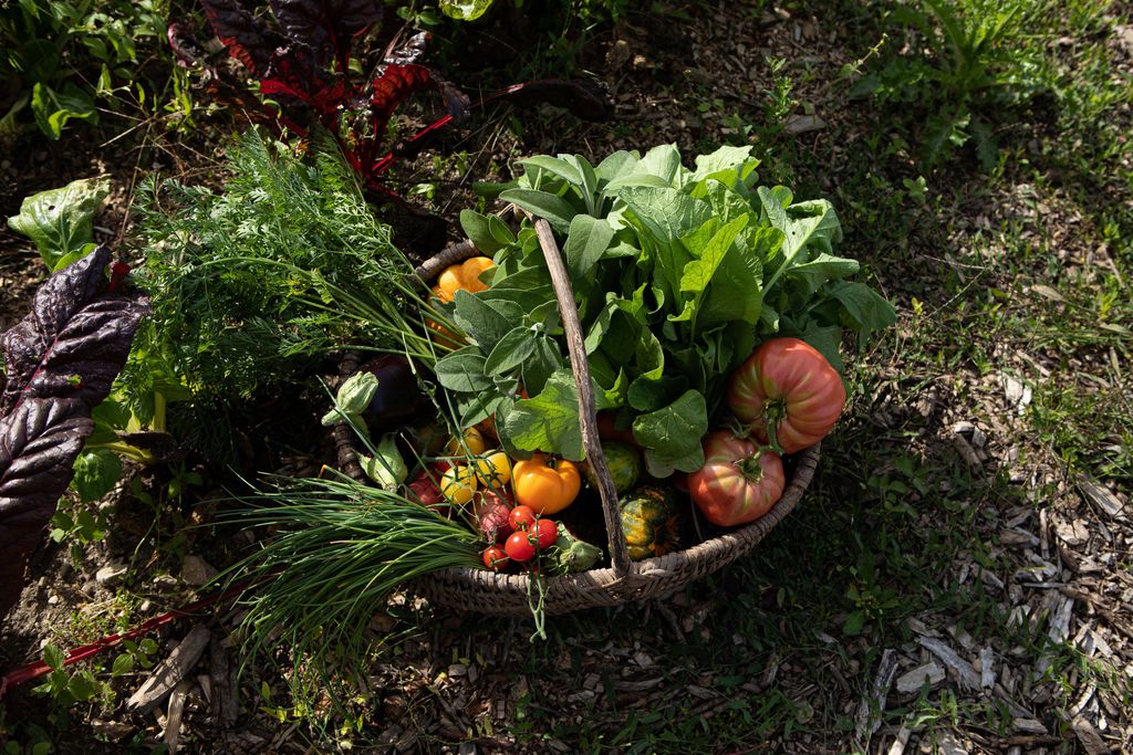 Un panier de légumes fraîchement cueillis au potager de l'Hostellerie de Levernois (©Kenzae/Hostellerie de Levernois)