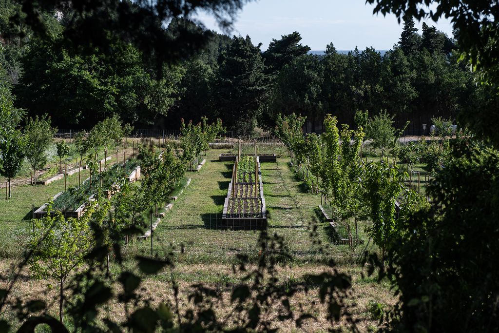 Le potager de l'Oustau de Baumanière, un concentré des saveurs des Alpilles (©VirginieOvessian/Baumanière)