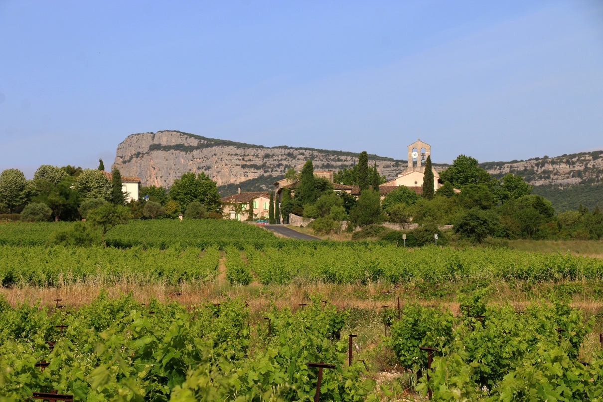 Le Grand Pic Saint-Loup, terre de cocagne languedocienne - Photo : ©JF Rust