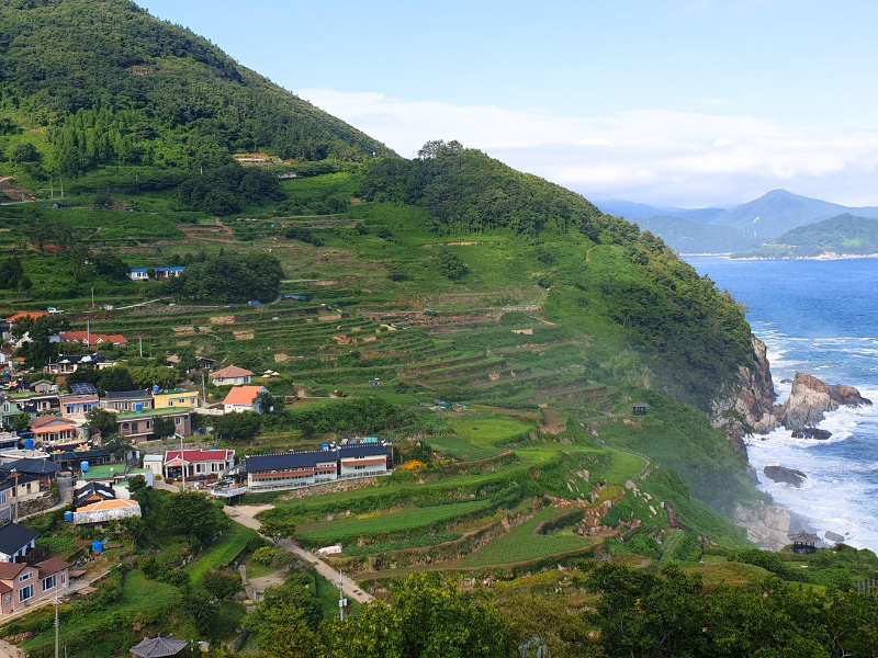 Rizières en terrasses à Namhae © Tour de Corée