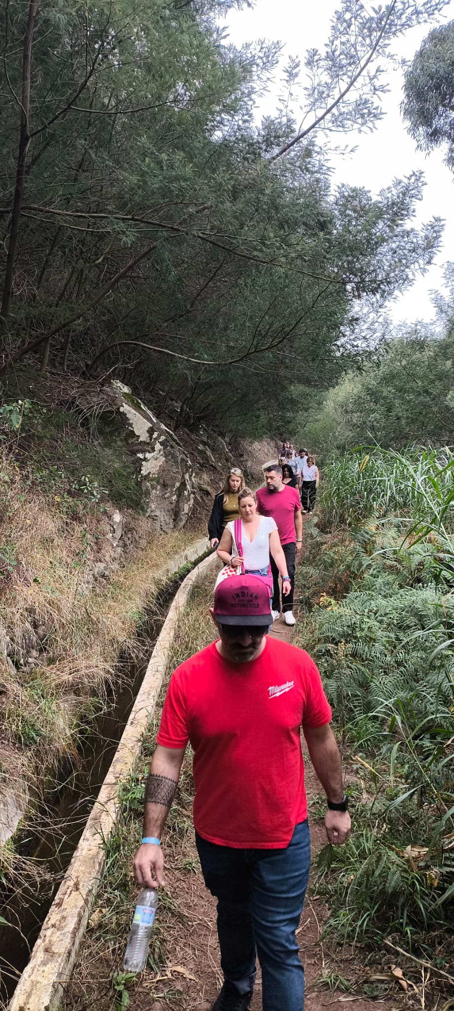 Les levadas, un réseau d'irrigation de près de 1000 km que l'on suit lors de randonnées @EDV Grand Est