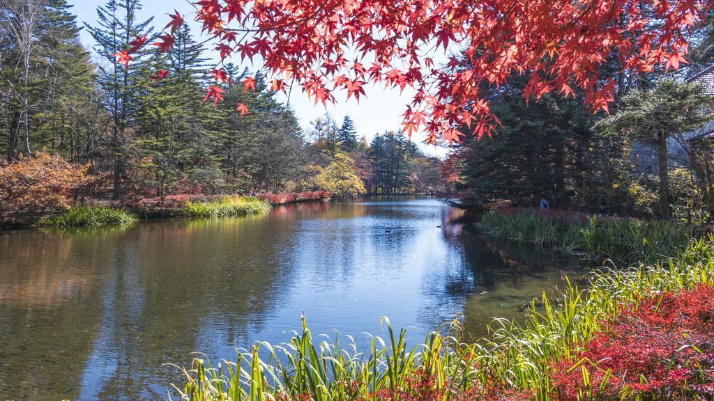 Ambiance d'automne dans les environs de Karuizawa (© Depositphotos)