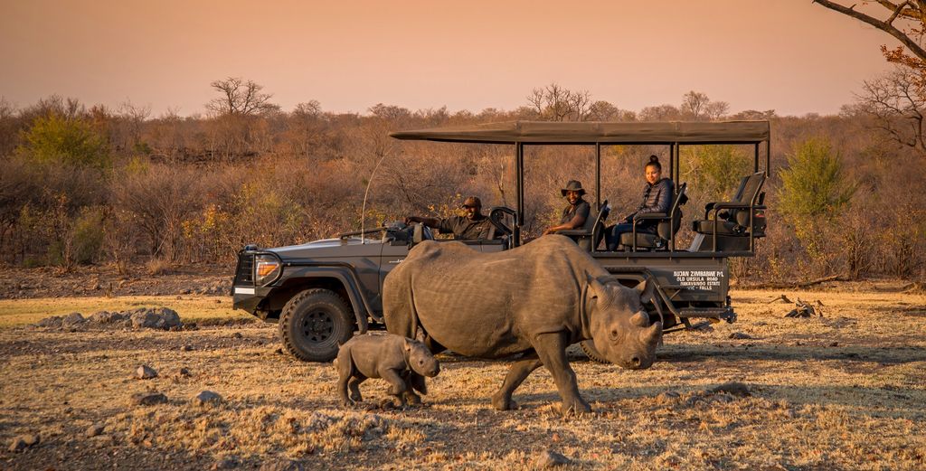 L'Anantara Stanley & Livingstone Victoria Falls Hotel, une adresse idéale pour observer la faune sauvage (@Anantara Hotels & Resorts)