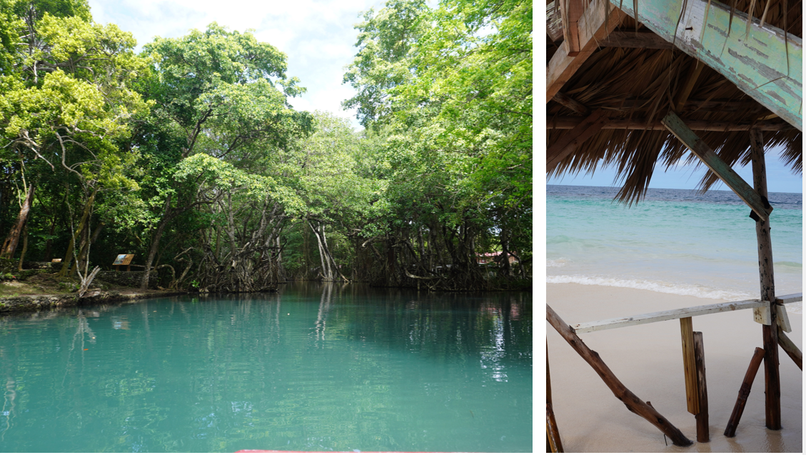 La mangrove et l'îlot de Cayo Arena - Photo : C.Hardin