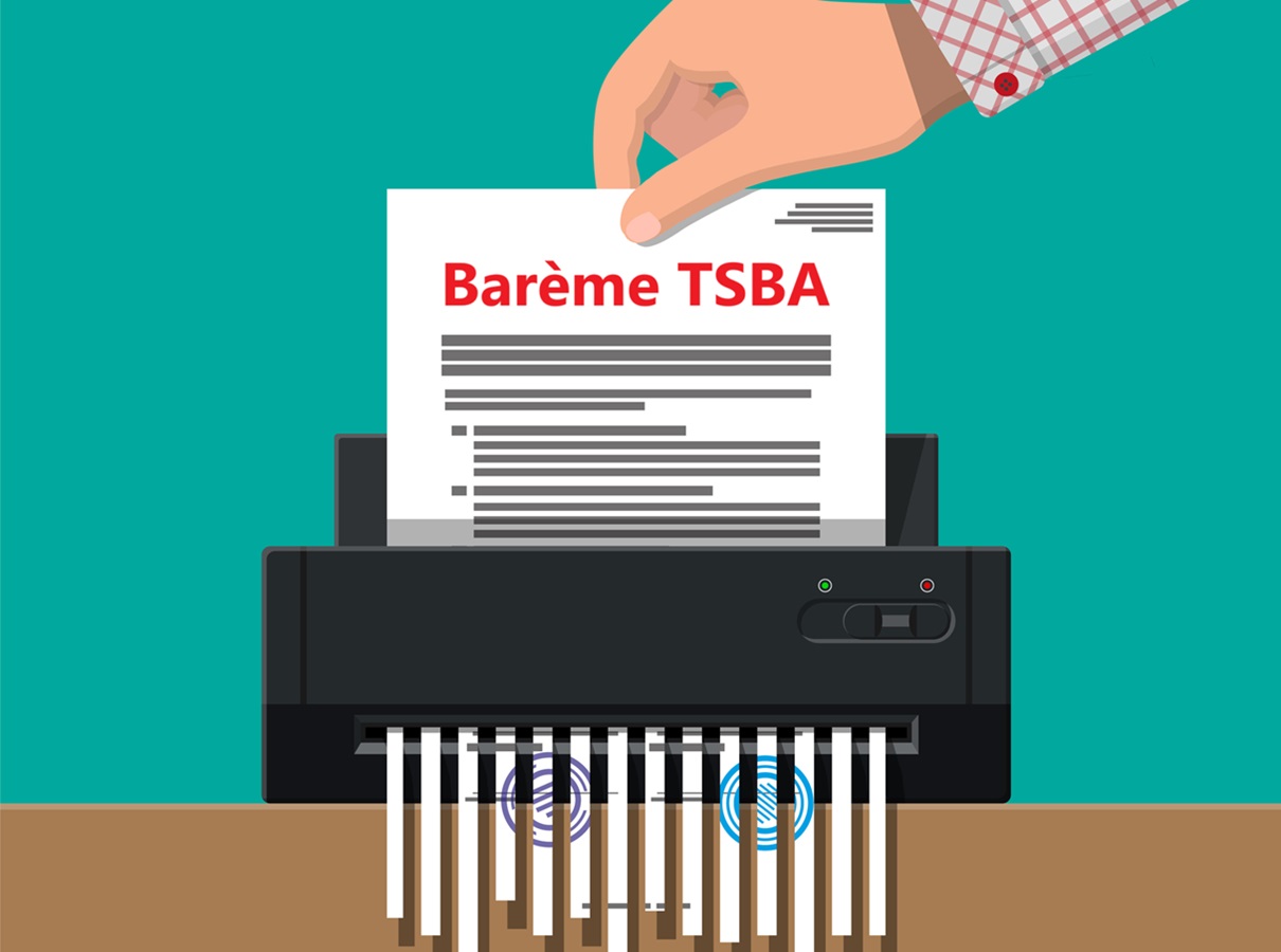 Un sous-amendement a été adopté au Sénat sur une révision de la taxe de solidarité sur les billets d'avion (TSBA) - Depositphotos @abscent