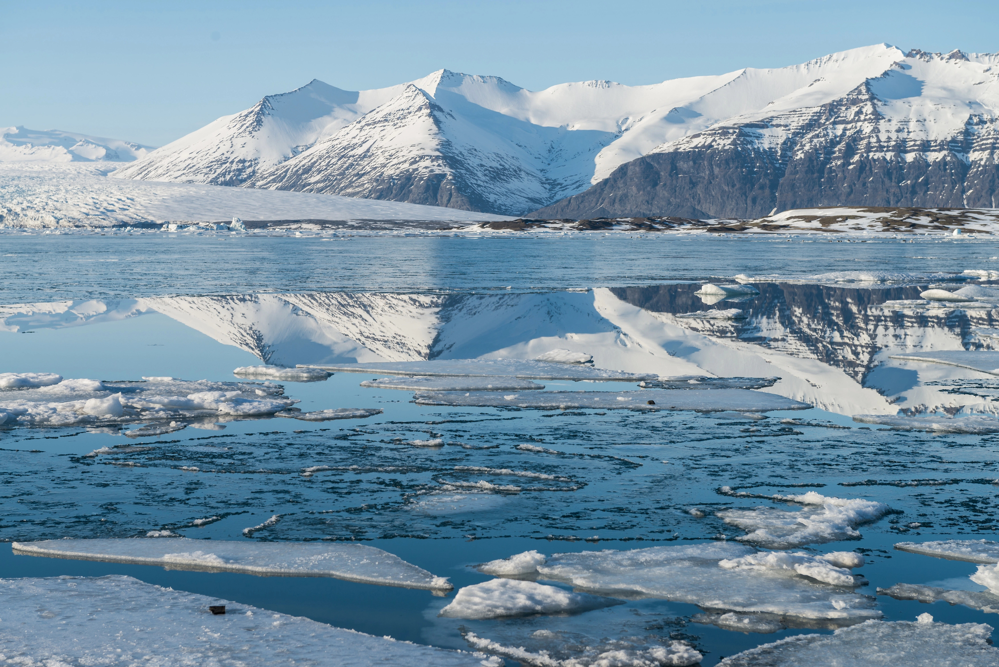 Nicolas Bichet devient directeur de 66° Nord. - Depositphotos.com Auteur StockWithMe