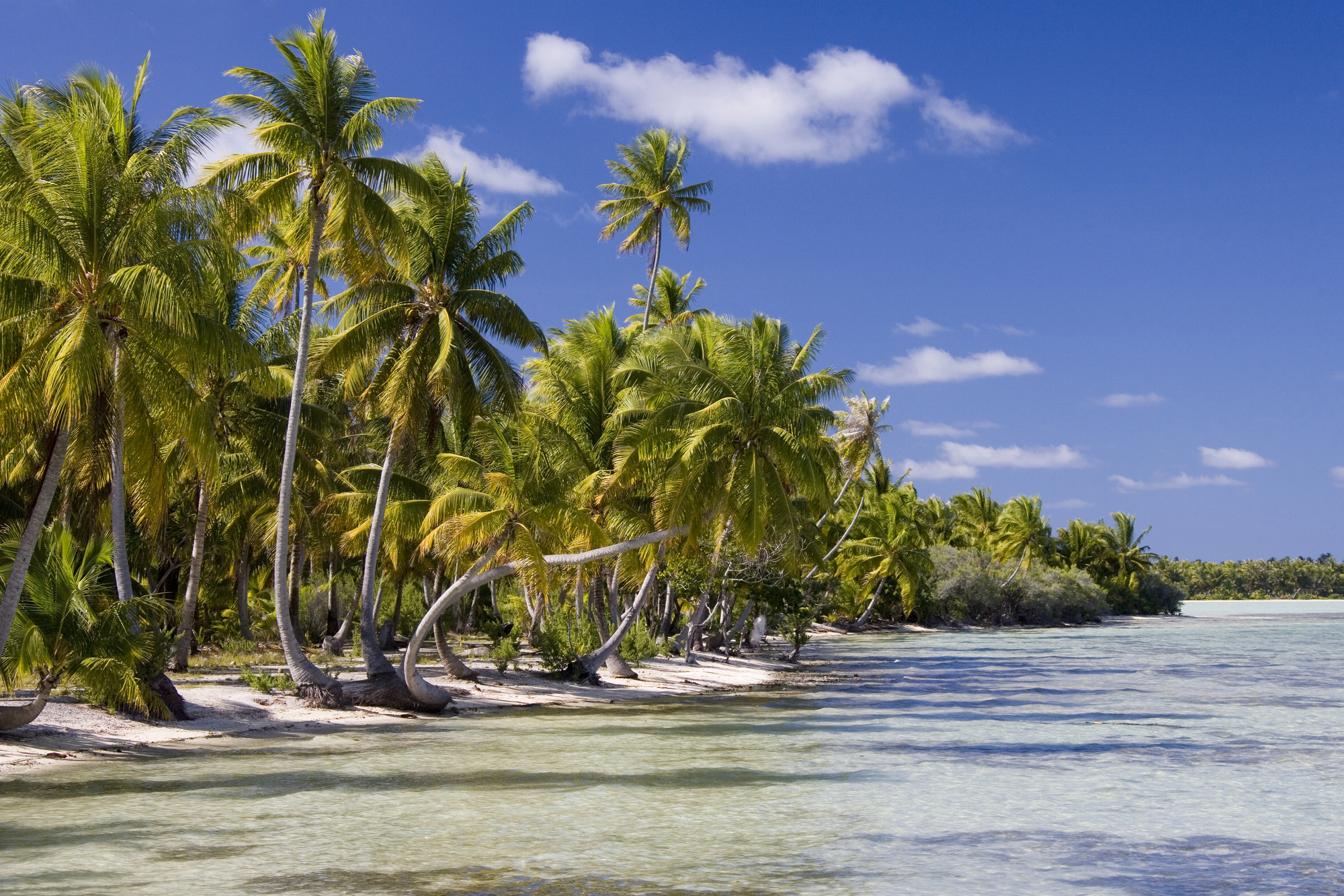 Polynésie, Iles Cook : Air Tahiti Nui et Air Rarotonga ont scellé un partenariat - Depositphotos.com Auteur Steve_Allen