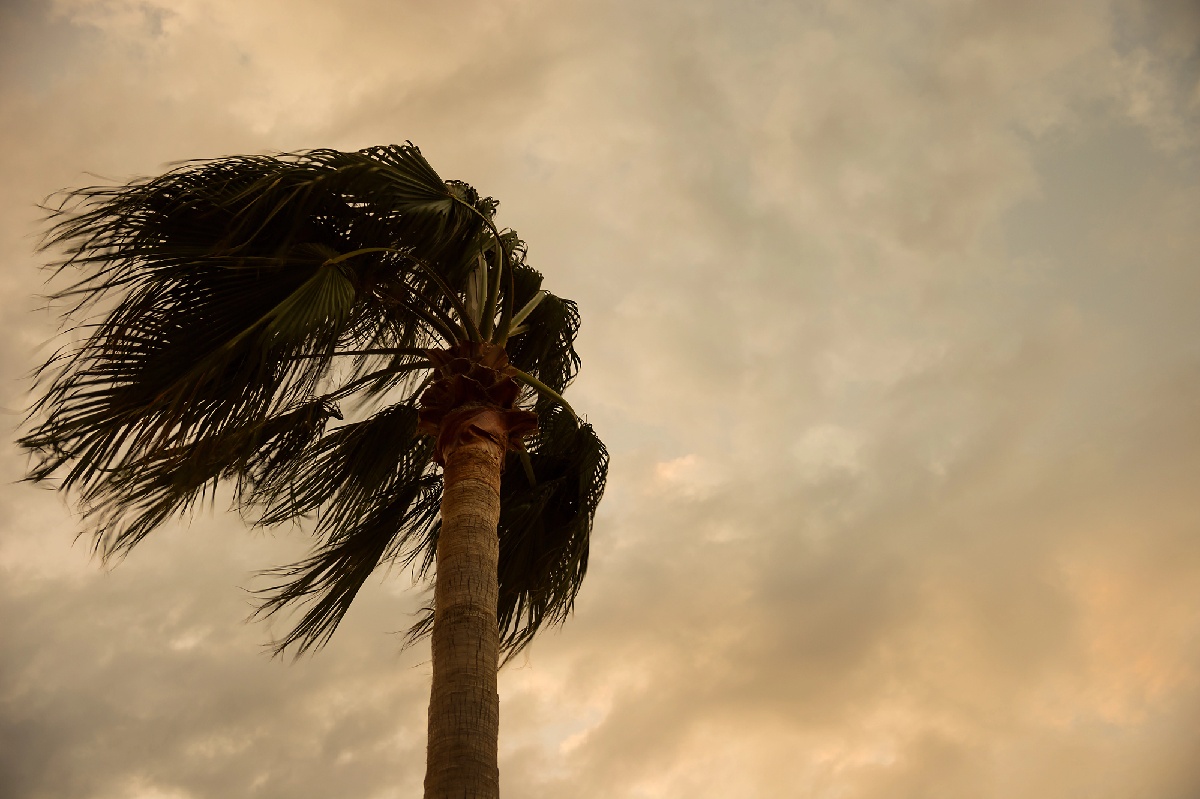 Menace de cyclone : prévisions et impacts pour Maurice et La Réunion - Depositphotos.com  Auteur kapustin_igor