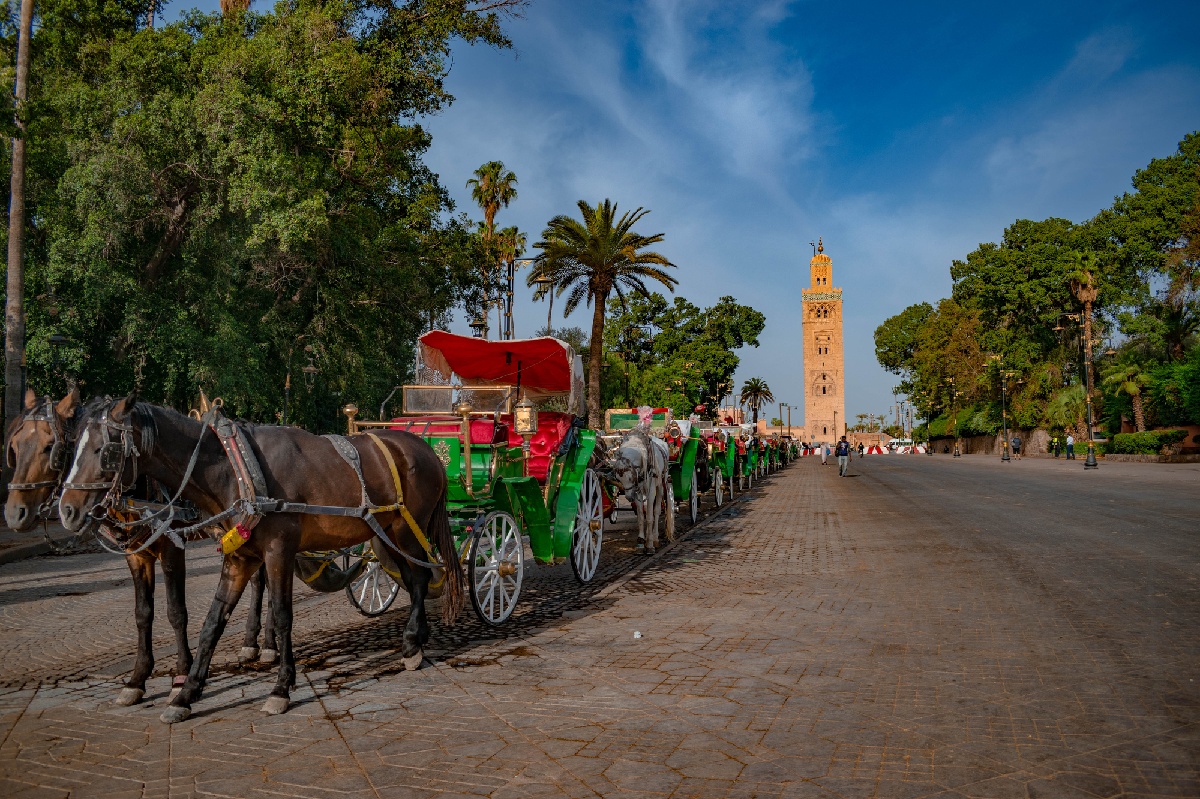 Tourisme et Coupe du monde de foot : les grandes ambitions du Maroc  - Depositphotos.com naoufal.takroumt@hotmail.fr