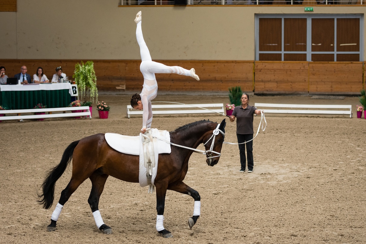 Pierre Brune débutera la saison 2025 avec comme nouveauté un spectacle équestre - Depositphotos @ventura69