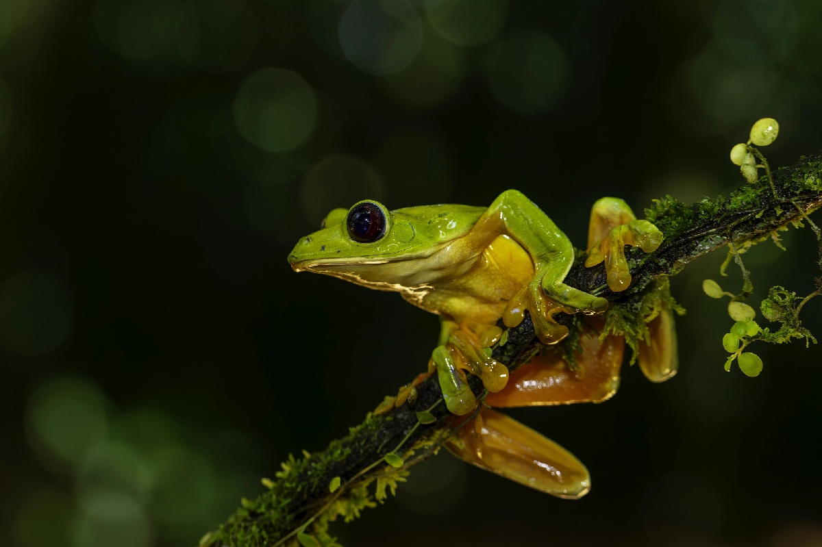 AmériGo relance son service dédié aux voyages à la carte sur l’Amérique Latine. - Depositphotos.com henk.bogaard@planet.nl