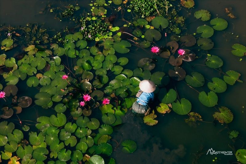 Tam Côc - NInh Binh © Authentik Vietnam