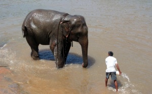 Sri Lanka is back to business... le marché français repart !