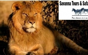 Savanna Tours &amp; Safaris:  Circuit Mali individuels et petits groupes 2011