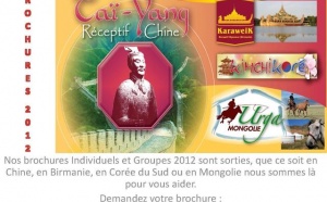 TAI YANG :LES BROCHURES INDIVIDUELS ET GROUPES  2012 SONT SORTIES!