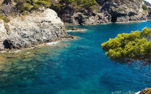 Porquerolles, une plongée au cœur d’un parc naturel