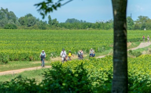 I. Bourgogne-Franche-Comté : Sur les routes des vignobles et des Grands Crus
