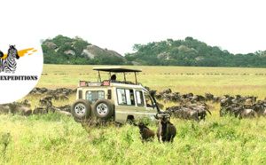 Tanzanie : Qatar Airways et Tanganyika Expeditions organisent un webinaire